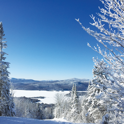 Corporate Pass 2025-2026