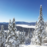 PASSE DE SAISON  SENIOR (70 à 79) 2026-2027